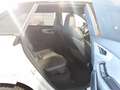 Audi Q8 50 TDI QUATT MATRIX+PANO+AHK+RAUTE+LUFT+360°+ Beige - thumbnail 9