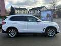 BMW X5 xDrive30d xLine ACC LASER STANDH PANO HiFi Weiß - thumbnail 6