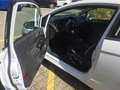 Ford Fiesta Fiesta 1.0 SYNC Edition Grün - thumbnail 8