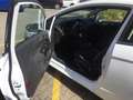 Ford Fiesta Fiesta 1.0 SYNC Edition Grün - thumbnail 4