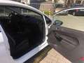 Ford Fiesta Fiesta 1.0 SYNC Edition Grün - thumbnail 11