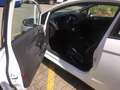 Ford Fiesta Fiesta 1.0 SYNC Edition Grün - thumbnail 14
