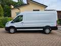 Ford Transit 350 2.0TDCi EcoBlue 170CV PL-TM Furgone Trend Wit - thumbnail 1