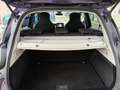 Renault ZOE Life inkl. Batterie 41kWh - SHZG - Kamera - Violett - thumbnail 4