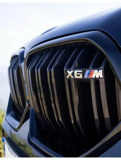 BMW X6 4.4 M50i 2021