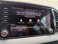 Skoda Karoq Ambition 2.0 TDI DSG 4x4 Tempomat Grau - thumbnail 17