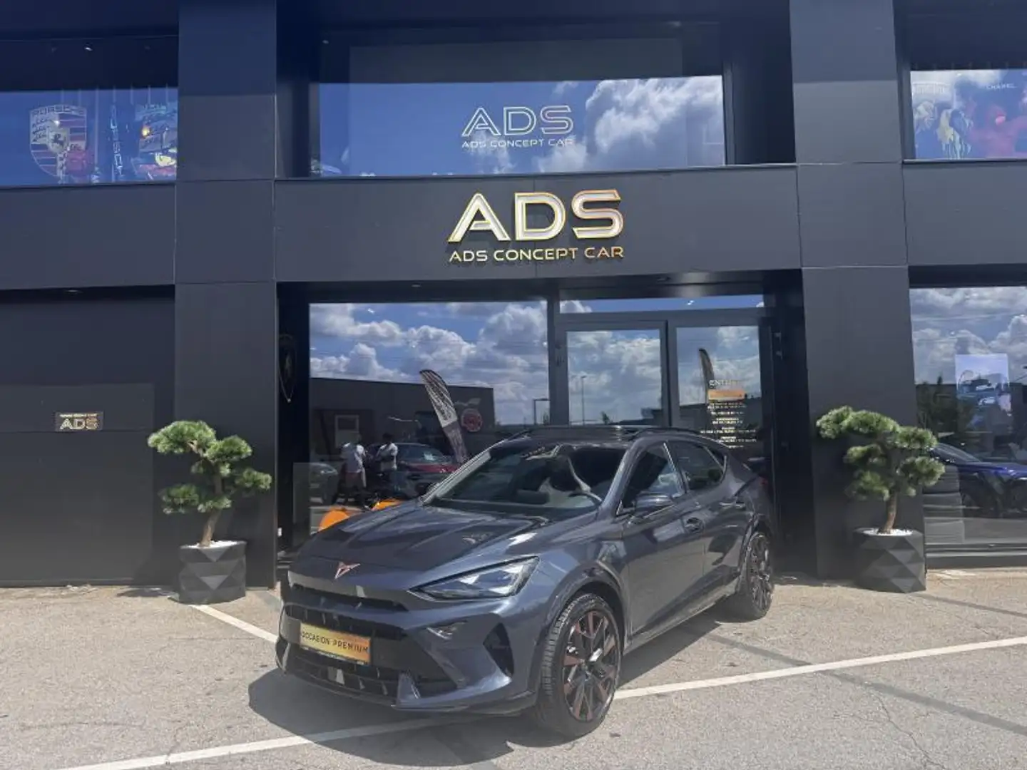 CUPRA Formentor Tribe Edition 2024 Gris - 1
