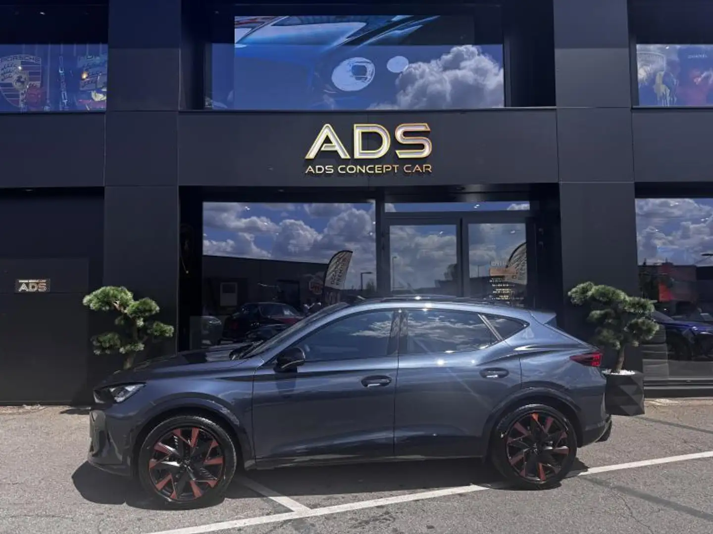 CUPRA Formentor Tribe Edition 2024 Gris - 2