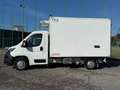 Peugeot Boxer 2.2 HDI FRIGO +12 - 20 STRADA/RETE Bianco - thumbnail 2