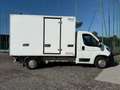 Peugeot Boxer 2.2 HDI FRIGO +12 - 20 STRADA/RETE Bianco - thumbnail 4
