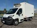 Peugeot Boxer 2.2 HDI FRIGO +12 - 20 STRADA/RETE Bianco - thumbnail 1