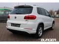 Volkswagen Tiguan Lounge Navi Kamera Sportpaket AHK-klappbar Navi Sp Blanco - thumbnail 5