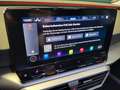 SEAT Leon Sportst. -FR Plus- 2.0 TDI DSG *Garantie* Grau - thumbnail 17