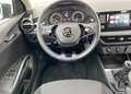 Skoda Fabia Ambition PDC SHZ Smartlink Grau - thumbnail 5