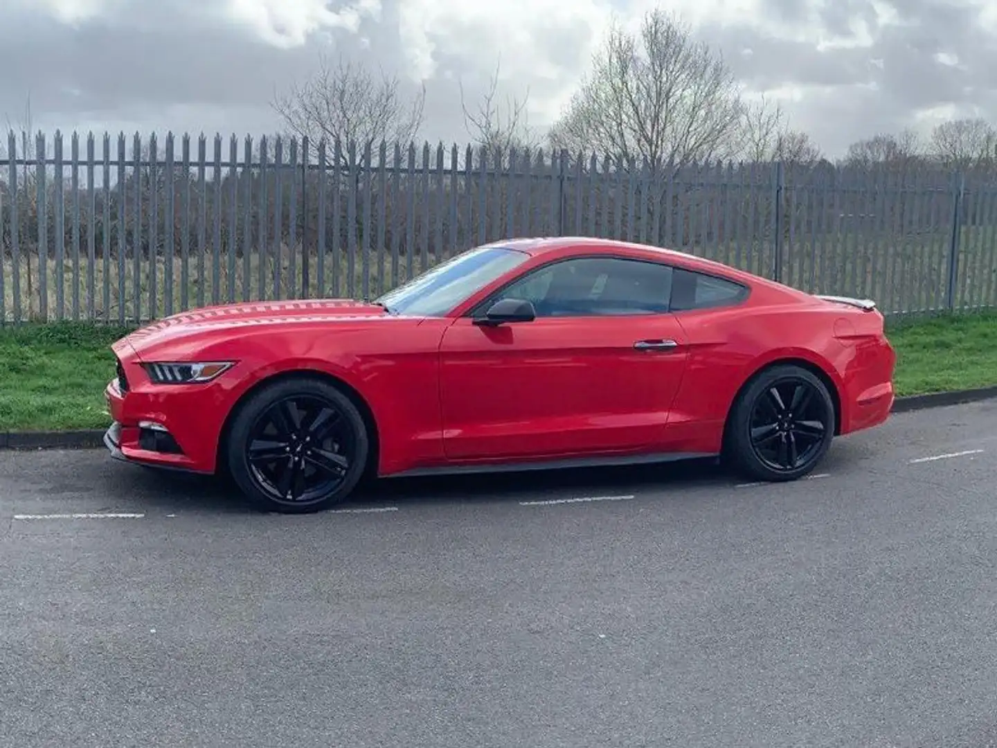 Ford Mustang Mustang 2,3 EcoBoost Aut. Rot - 2