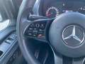 Mercedes-Benz Sprinter 319 4M Mixto L2H2 AUT*Klima*Standhzg* Blanco - thumbnail 12