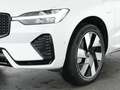 Volvo XC60 XC60 Plus Dark Recharge Plug-In Hybrid AWD Weiß - thumbnail 10