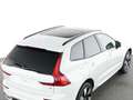 Volvo XC60 XC60 Plus Dark Recharge Plug-In Hybrid AWD Weiß - thumbnail 9