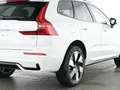 Volvo XC60 XC60 Plus Dark Recharge Plug-In Hybrid AWD Weiß - thumbnail 11