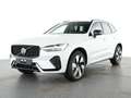 Volvo XC60 XC60 Plus Dark Recharge Plug-In Hybrid AWD Weiß - thumbnail 2