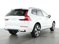 Volvo XC60 XC60 Plus Dark Recharge Plug-In Hybrid AWD Weiß - thumbnail 3
