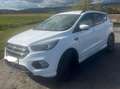 Ford Kuga Kuga 1,5 TDCi ST-Line Start/Stop Pow. Aut. ST-Line Weiß - thumbnail 1