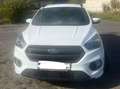 Ford Kuga Kuga 1,5 TDCi ST-Line Start/Stop Pow. Aut. ST-Line Weiß - thumbnail 2