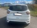 Ford Kuga Kuga 1,5 TDCi ST-Line Start/Stop Pow. Aut. ST-Line Weiß - thumbnail 4