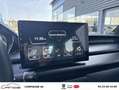 Ligier Sport Pack DCi 492 + Direction Assistée Gris - thumbnail 15
