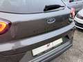 Ford Puma 1.0 155 EcoBoost ST Line Auto. Gris - thumbnail 11