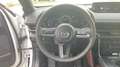 Mazda MX-30 MX30 e-SKYACTIV R-EV 170CV AT 2WD ADVANTAGE INDUST Alb - thumbnail 14