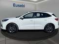 Ford Kuga 2.5 Plug In Hybrid 225 CV CVT 2WD ST-Line X Bianco - thumbnail 4