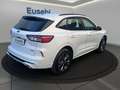Ford Kuga 2.5 Plug In Hybrid 225 CV CVT 2WD ST-Line X Bianco - thumbnail 7
