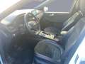 Ford Kuga 2.5 Plug In Hybrid 225 CV CVT 2WD ST-Line X Bianco - thumbnail 9