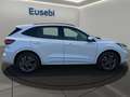 Ford Kuga 2.5 Plug In Hybrid 225 CV CVT 2WD ST-Line X Bianco - thumbnail 8