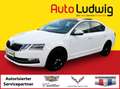 Skoda Octavia 1,5 TSI Style Limited DSG*VIRTUAL*NAVI*LED*PDC*... Weiß - thumbnail 1