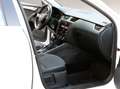 Skoda Octavia 1,5 TSI Style Limited DSG*VIRTUAL*NAVI*LED*PDC*... Weiß - thumbnail 23
