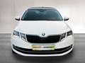 Skoda Octavia 1,5 TSI Style Limited DSG*VIRTUAL*NAVI*LED*PDC*... Weiß - thumbnail 5