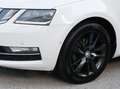 Skoda Octavia 1,5 TSI Style Limited DSG*VIRTUAL*NAVI*LED*PDC*... Weiß - thumbnail 4