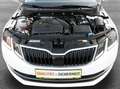 Skoda Octavia 1,5 TSI Style Limited DSG*VIRTUAL*NAVI*LED*PDC*... Weiß - thumbnail 29