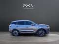 Ebro s700 1.5 TGDI PHEV E-CVT Premium FWD Gris - thumbnail 6