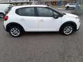 Citroen C3 C3 VAN BlueHDi 100 S&S Feel Bianco - thumbnail 6