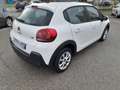 Citroen C3 C3 VAN BlueHDi 100 S&S Feel Bianco - thumbnail 7