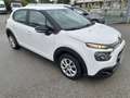 Citroen C3 C3 VAN BlueHDi 100 S&S Feel Bianco - thumbnail 5