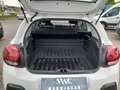 Citroen C3 C3 VAN BlueHDi 100 S&S Feel Bianco - thumbnail 12