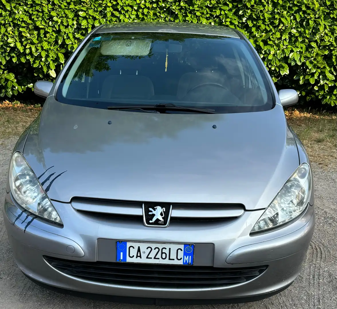Peugeot 307 307 5p 1.6 16v XS Argento - 2