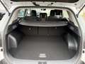 Kia Sportage 1.6 T-GDI 160 PS Vision/Aktionspreis Blanco - thumbnail 12