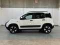 Fiat Panda 1.0 FireFly 70cv S&S Hybrid Cross Weiß - thumbnail 2