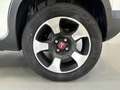 Fiat Panda 1.0 FireFly 70cv S&S Hybrid Cross Weiß - thumbnail 7
