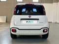 Fiat Panda 1.0 FireFly 70cv S&S Hybrid Cross Weiß - thumbnail 4
